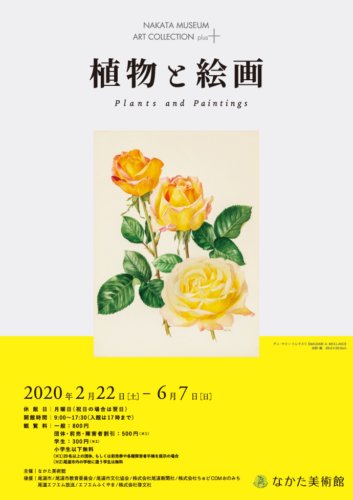 植物と絵画