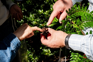 「植物採集と押し葉標本づくり」を開催しました