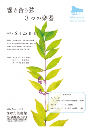 響き合う弦 3つの楽器