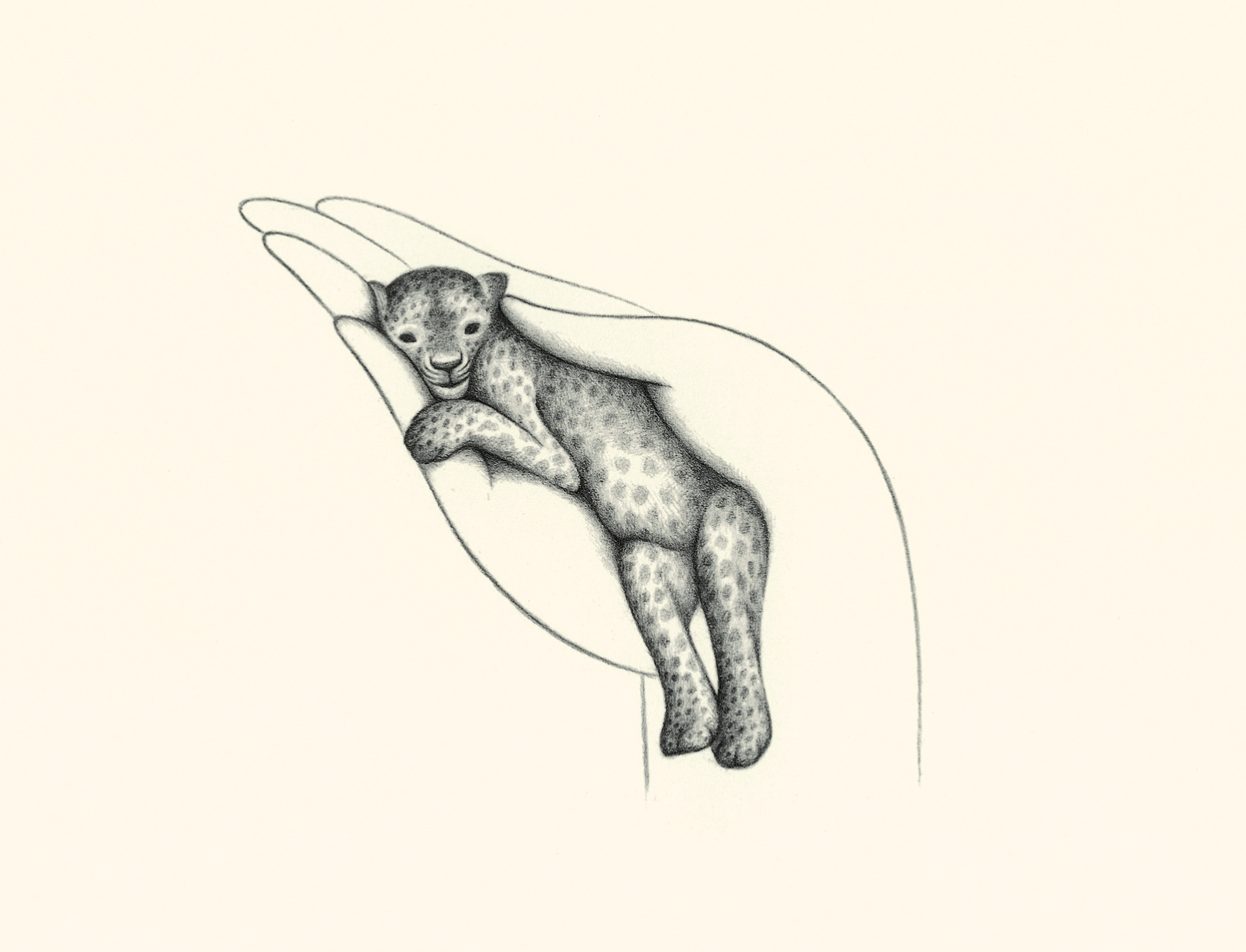 いのちを描く